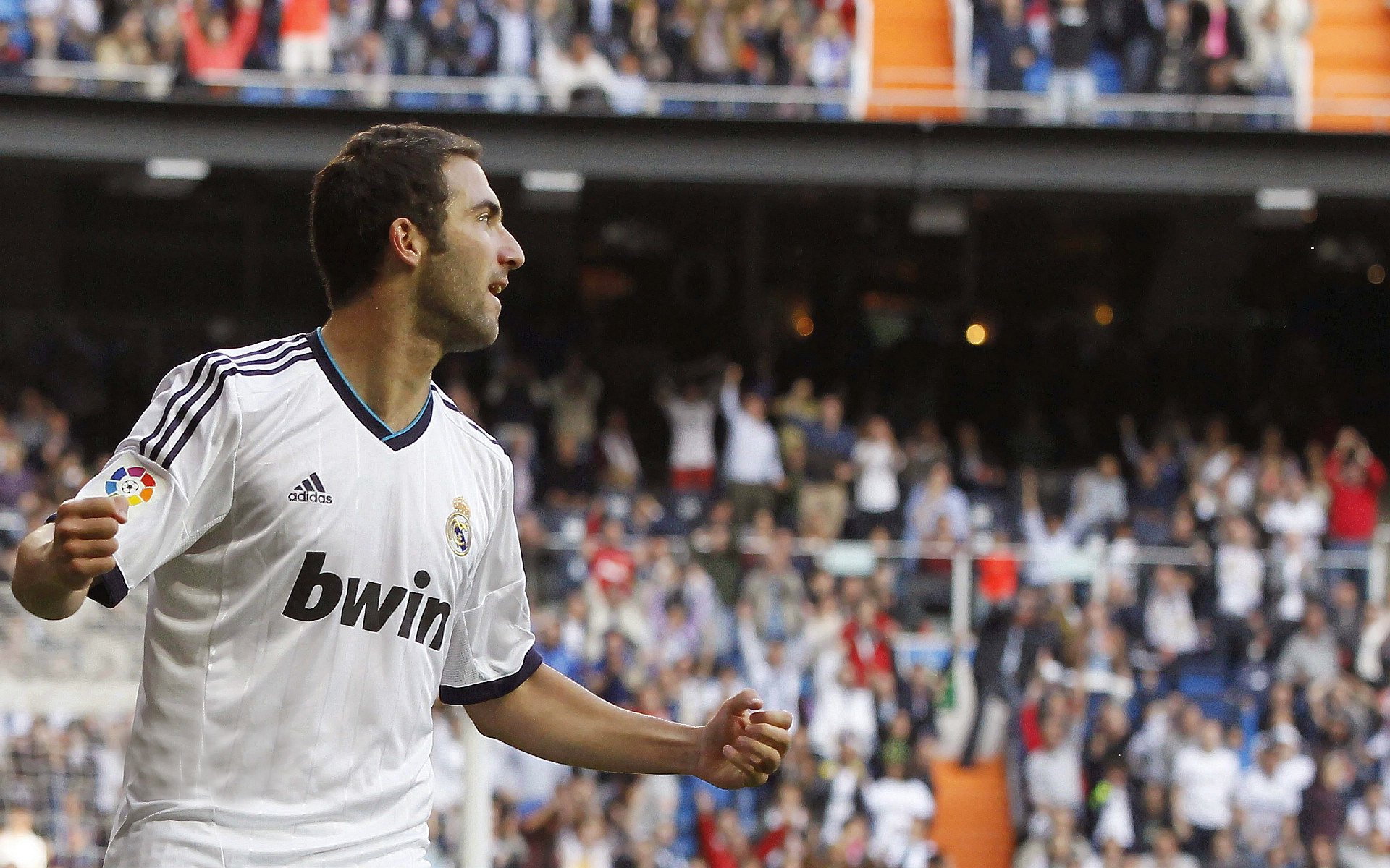 生态探险跑：绿色环保新趋势，生态挑战